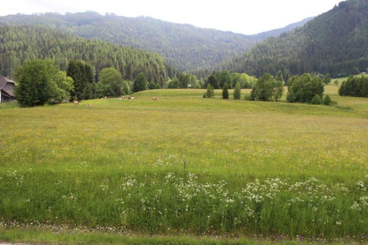 Gnesau 26 Appartement Buitenkant foto